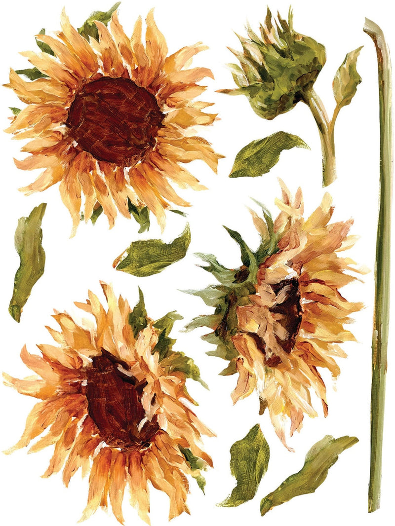 IOD Painterly Florals Rub On Transfer Sheet