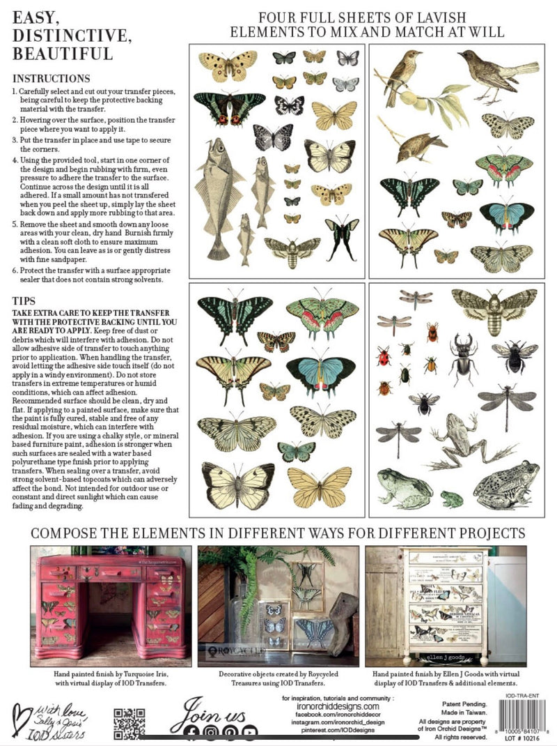 IOD Entomology Etcetera Rub On Transfer Sheet