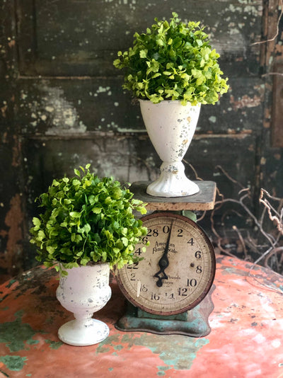 The Josie Maiden Hair Fern French Country Cottage Style Topiary Urn For Mantles & Tables~Farmhouse decor~Small greenery centerpiece