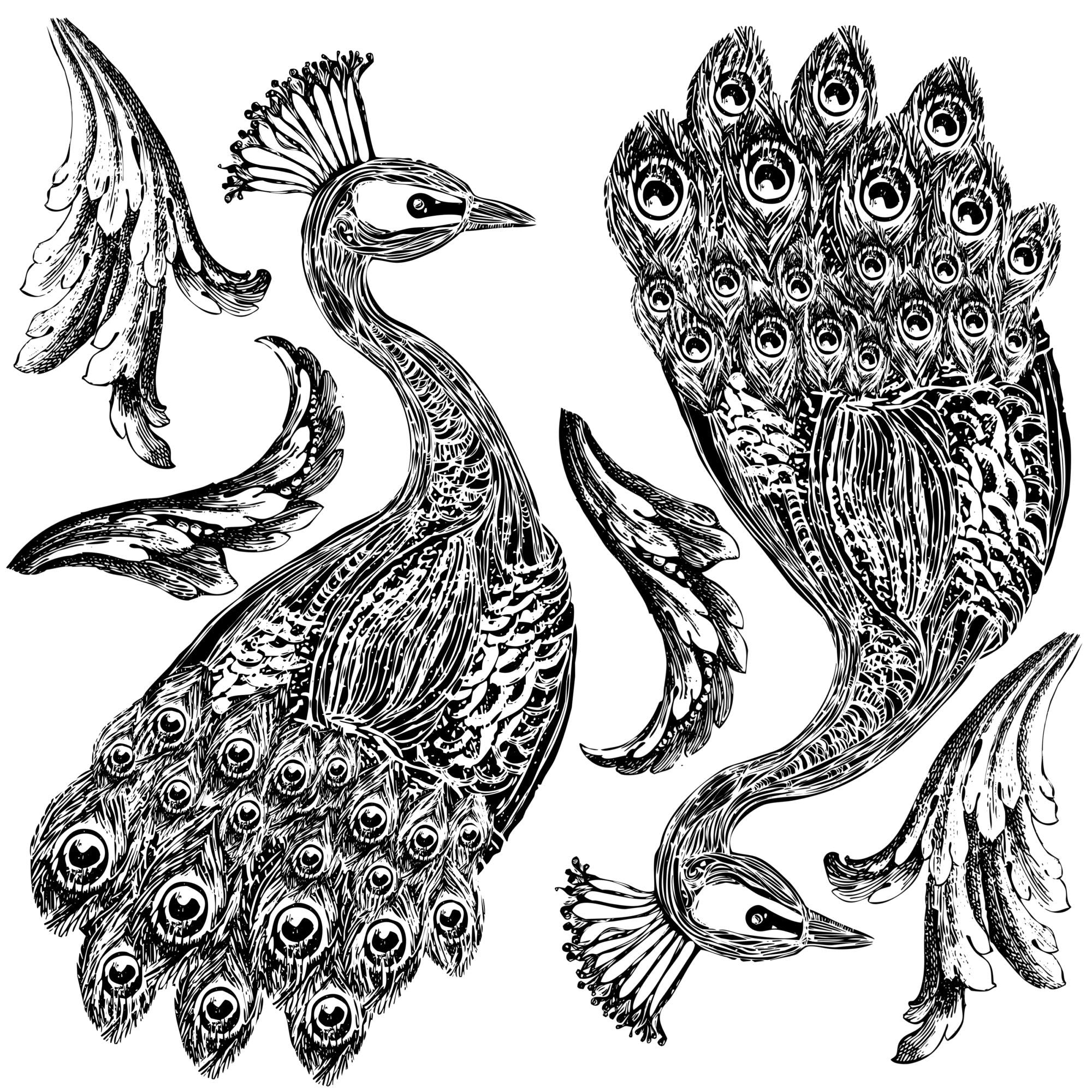 IOD Pavo Peacock Decor Stamp
