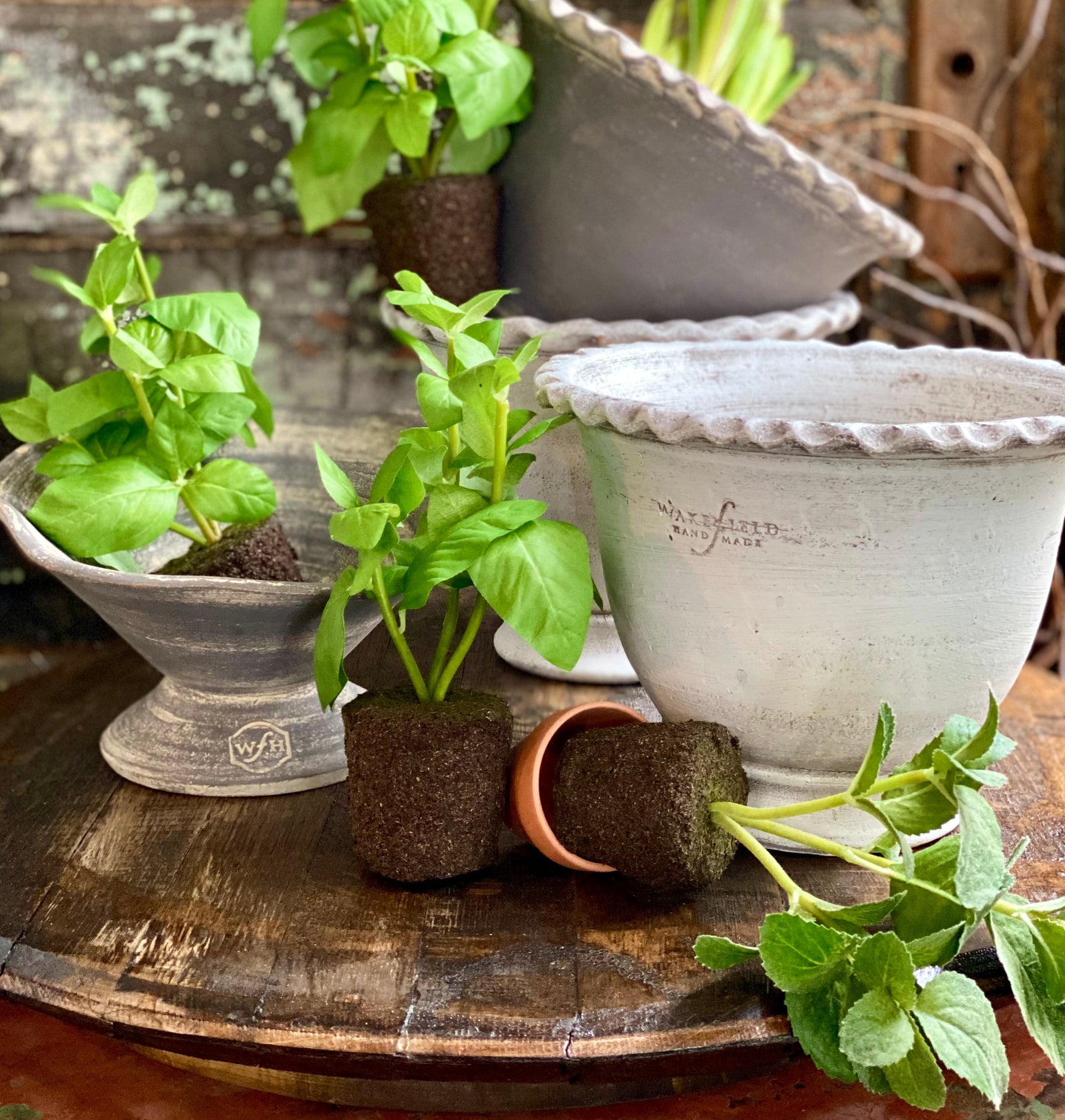 Baskets + Containers