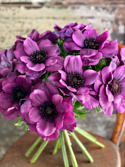 Artificial Purple Anemone Stem