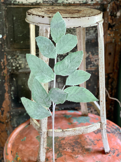Frosted Mint Leaf Spray