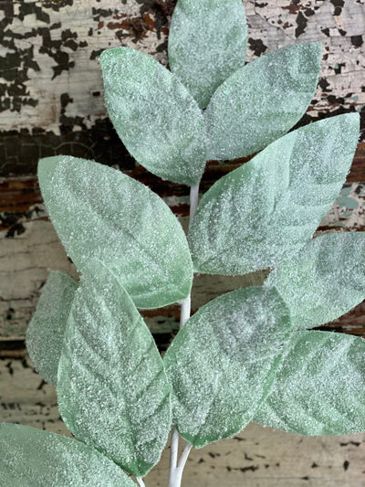 Frosted Mint Leaf Spray
