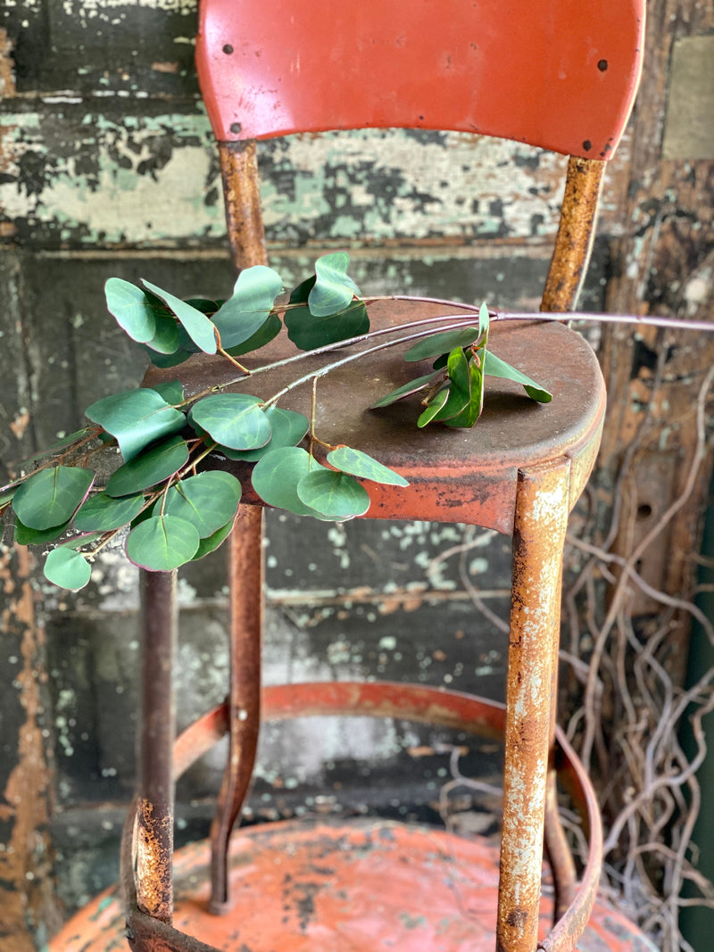 Artificial Silver Dollar Eucalyptus Greenery Spray