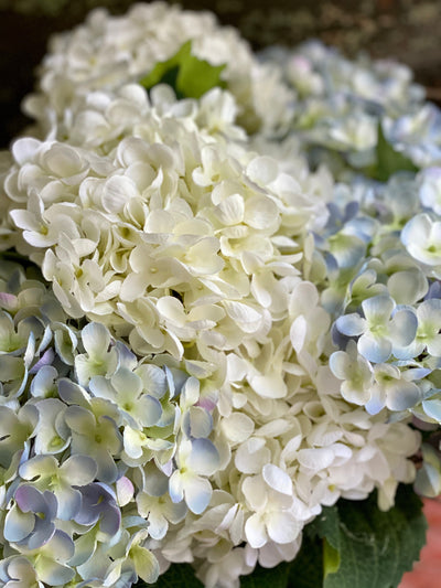 Artificial Silk Hydrangea Stem White or Blue