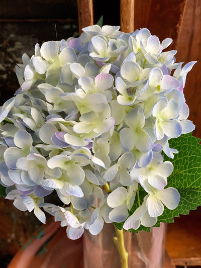 Artificial Silk Hydrangea Stem White or Blue
