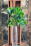Artificial Camillia Greenery Spray