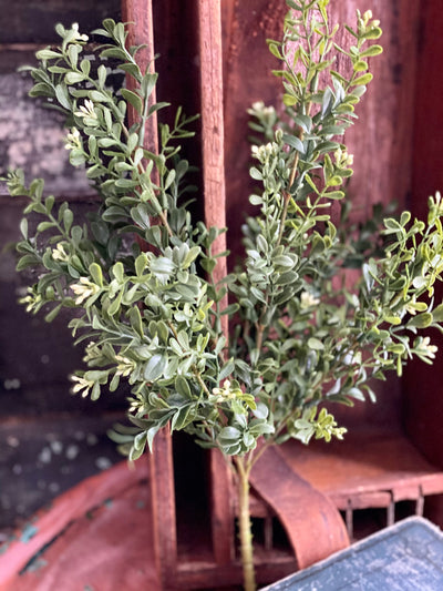 Artificial Boxwood Greenery Bush