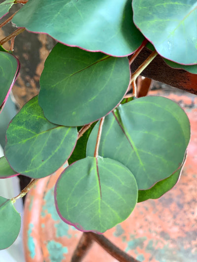 Artificial Silver Dollar Eucalyptus Greenery Spray