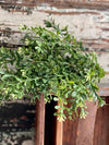 Artificial Boxwood Greenery Bush