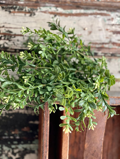 Artificial Boxwood Greenery Bush