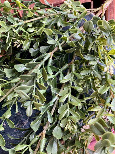 Artificial Boxwood Greenery Bush