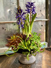 The Sorrel Succulent Centerpiece For Dining Table
