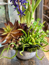 The Sorrel Succulent Centerpiece For Dining Table