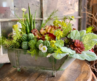 The Jade Succulent Centerpiece