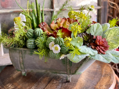 The Jade Succulent Centerpiece