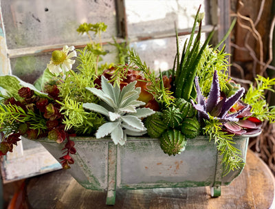 The Jade Succulent Centerpiece