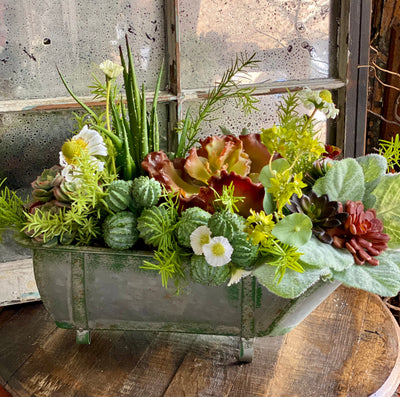 The Jade Succulent Centerpiece