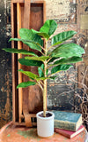 Artificial Real Touch Potted Fiddle Leaf Fig Tree