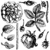 IOD Lady Of Shalott Decor Stamp