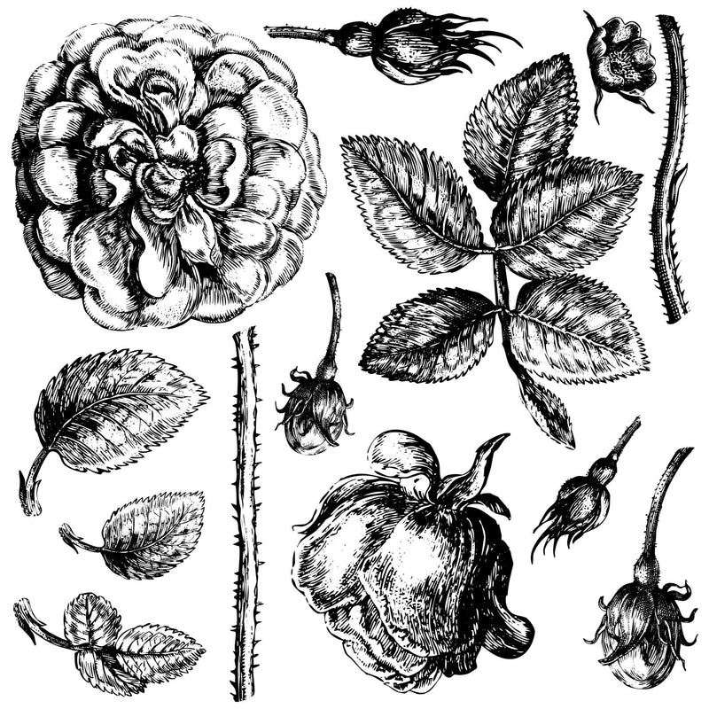 IOD Lady Of Shalott Decor Stamp