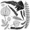 IOD Fronds Decor Stamp
