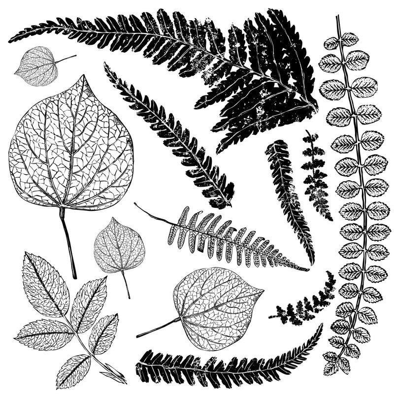 IOD Fronds Decor Stamp