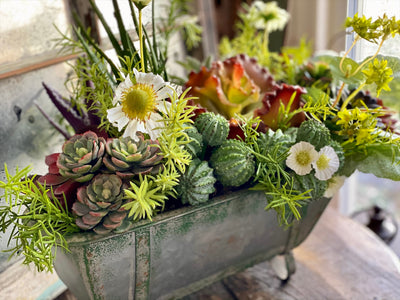 The Jade Succulent Centerpiece