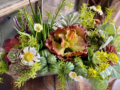 The Jade Succulent Centerpiece