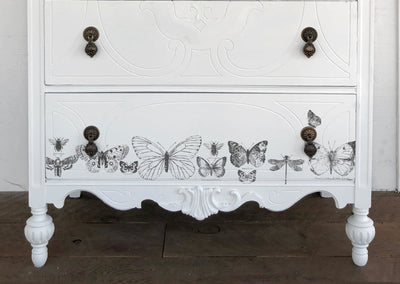 IOD Butterflies Decor Stamp