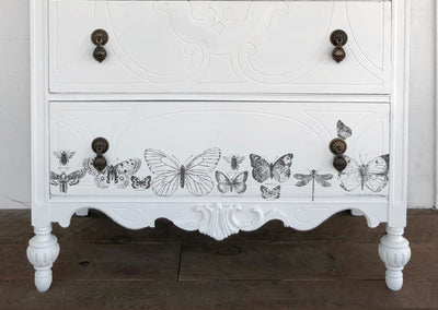 IOD Butterflies Decor Stamp