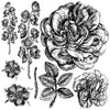 IOD Lady Of Shalott Decor Stamp
