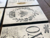 IOD Queen Bee Decor Stamp
