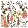 IOD Japonica Decor Rub On Transfer Sheet