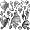 IOD Seashore Decor Stamp