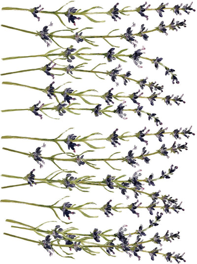 IOD Painterly Florals Rub On Transfer Sheet