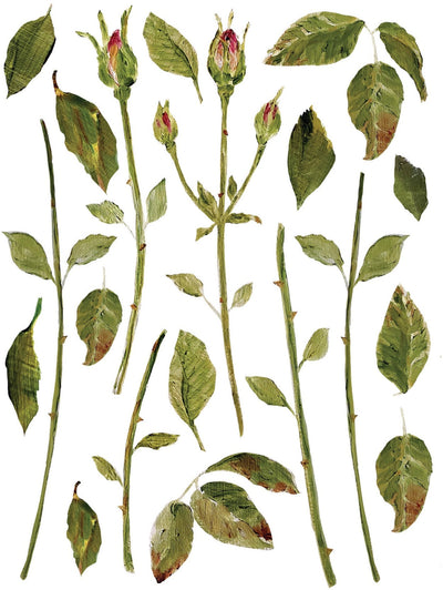 IOD Painterly Florals Rub On Transfer Sheet