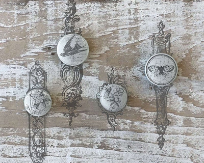 IOD Backplates Decor Stamp