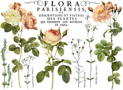 IOD Flora Parisiensis Decor Rub On Transfer Sheet