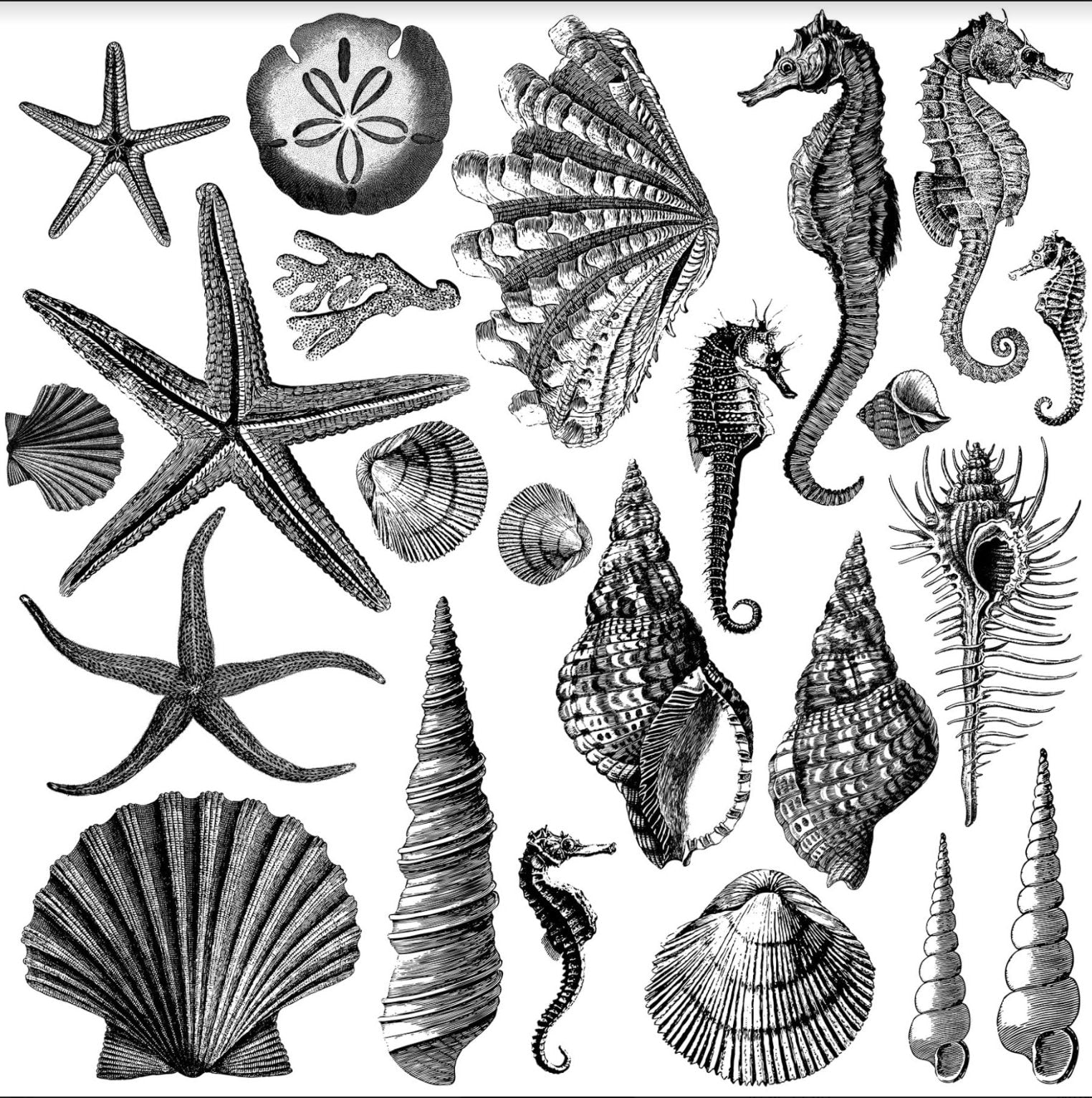IOD Seashore Decor Stamp: French Country Shell Designs