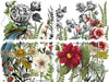 IOD Midnight Garden Rub On Transfer Sheet