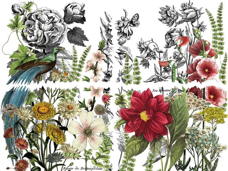 IOD Midnight Garden Rub On Transfer Sheet