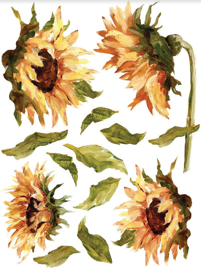 IOD Painterly Florals Rub On Transfer Sheet