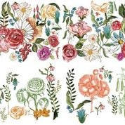IOD Wander Floral Rub On Transfer Sheet