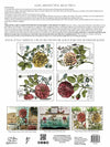IOD Ladies In Waiting Botanical Rub On Transfer Sheet