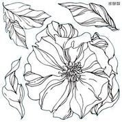IOD Peonies Decor Stamp