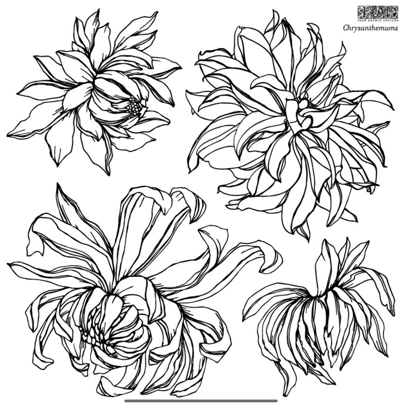 IOD Chrysanthemum Decor Stamp