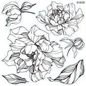 IOD Peonies Decor Stamp