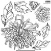 IOD Chrysanthemum Decor Stamp